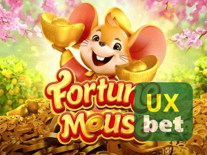 UXBET login — configurações de segurança e proteção de conta